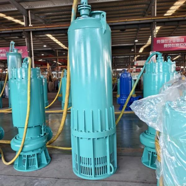 180m³/H 350m Head Explosion Proof Submersible Pumps Mine Drainage Explosion Prevention Water Pump