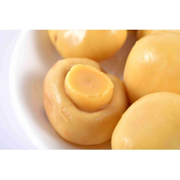 Halal / Kosher Certificate Canned Whole Mushrooms Customer Brand Available