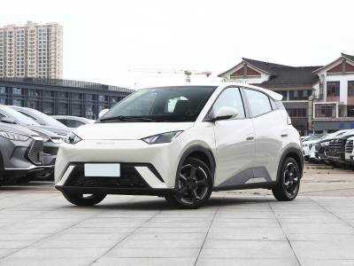 Free Version BYD Full Electric Car Warm Sun White 55KW Pure Electric Car