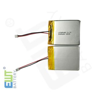 Protección de PCB Batería de polímero de litio con protección contra sobrecarga y celdas de bolsa LP585460 3.7V 2000mAh