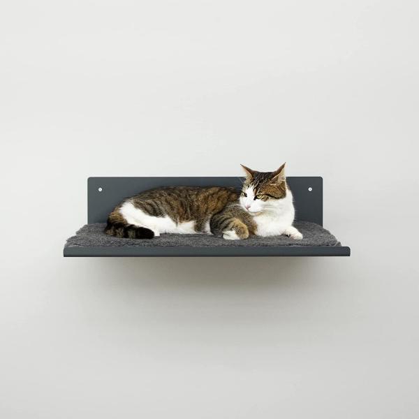 Standard Cat Climbing Furniture with Black Powder Coated Pet Hammock and Pet Condo