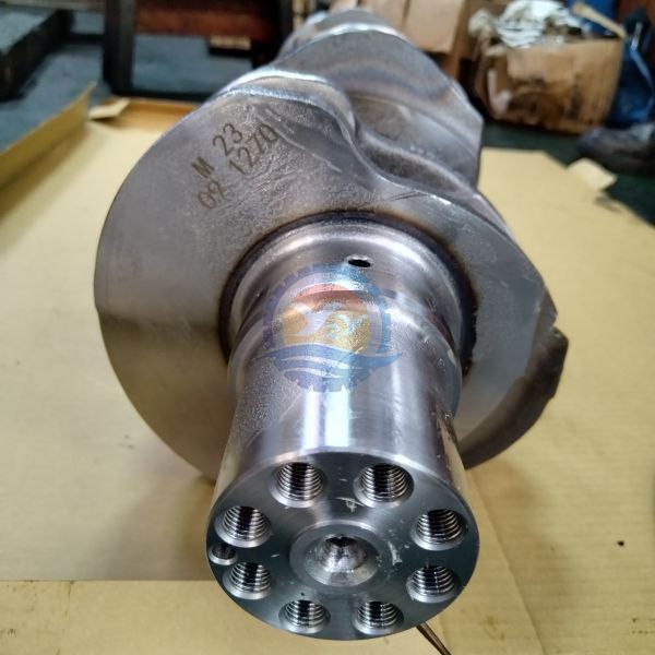 D1146 DE08 Crankshaft 150107-00183A for Doosan Excavator Engine Parts