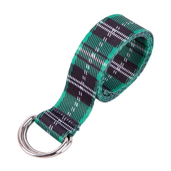 Double fibre de la ceinture D Ring Buckle Fabric Web Polyester de boucle de