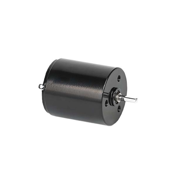 Micro Coreless Brush DC Motor 22mm 3.61 Watt 6900rpm 36V Customizable