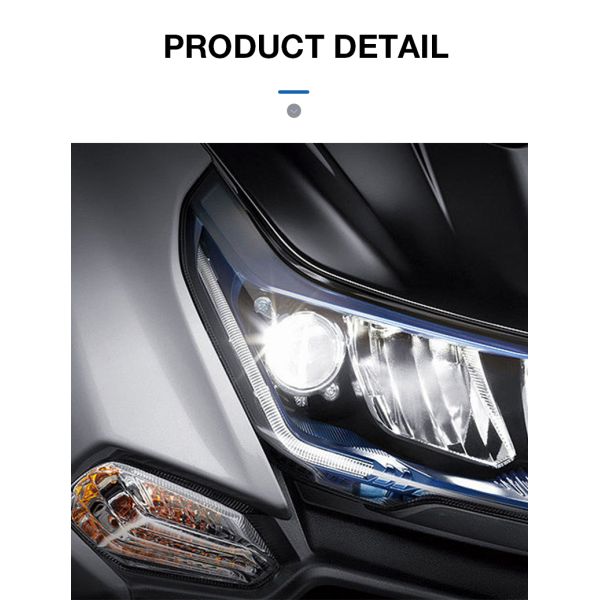 Lighting Function Motorcycle Headlight Socket for TMX CG125 Avaibale in High Demand
