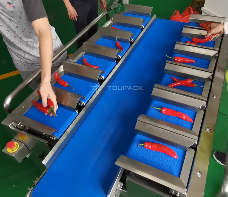 Semi автоматический Weigher комбинации 12 поясов для Chili огурца моркови овоща