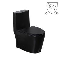 Doubles toilettes Matte Black Csa Toilet With 10,5 de salles de bains de soupape de vidange de siphon rugueux dans le noir