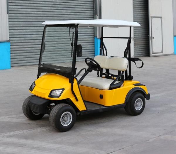 Electric golf cart 2 seats mini golf trolley cheap price 60V battery operated golf car electric