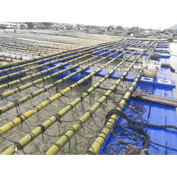 Machines de pêche Pontoon en plastique Cage d'élevage de poissons avec source d'alimentation hydraulique et type de treuil d'engrenage de pêche