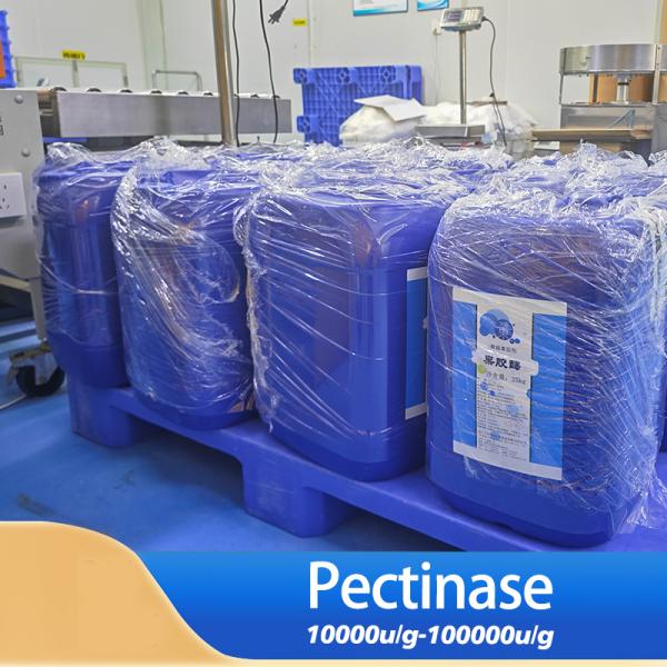 Produit de pectinase 20000U/g Enzymes dans la production de jus de fruits Ppt Activité enzymatique personnalisée