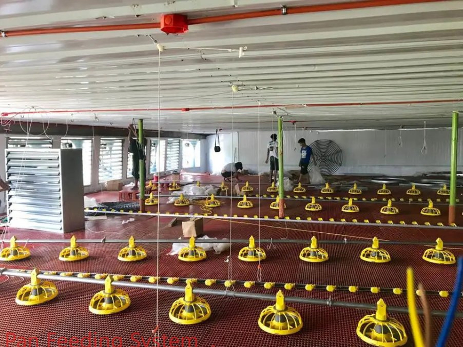 Quick Cleaning Automatic Pan Feeding System For Broiler Poultry Farms
