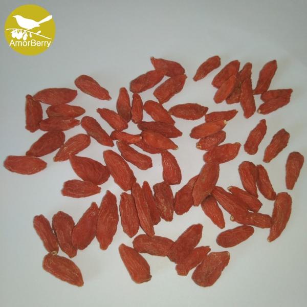 China supplier dried medlar wolfberry goji berry 100% Organic Dried Goji Berry Chinese Wolfberry