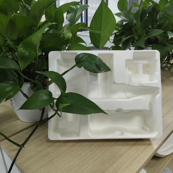 OEM manufacturers customize pulp molded packaging bases for small household appliance fascia guns. These are made of white plant fibers through dry pressing.