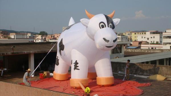 Inflatable advertising cow  / inflatable advertising ox / inflatable promotion