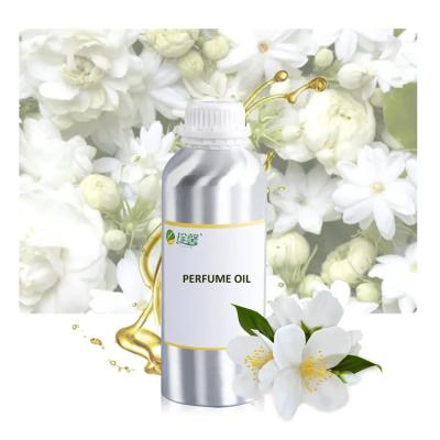 Amostragens gratuitas Ingredientes naturais Perfumes de jasmim Óleo de fragrância para fazer perfumes
