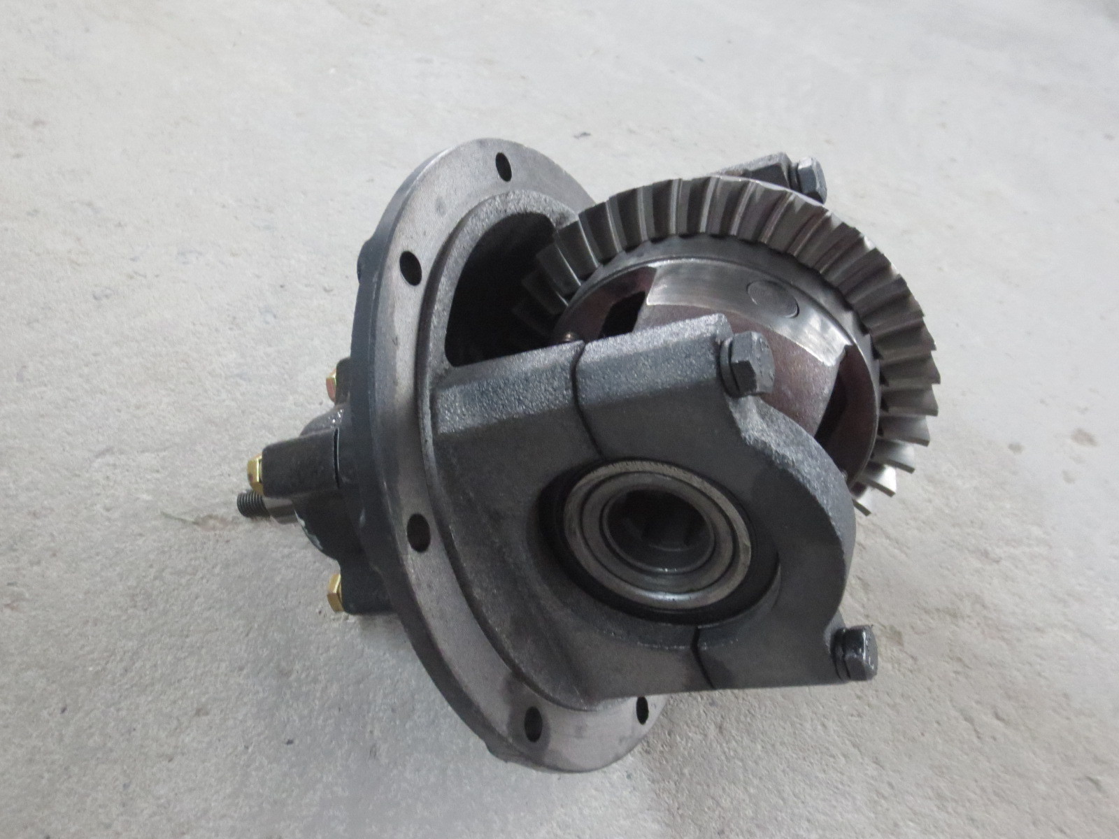 Рустпрооф дуктильный железный автоматический дифференциал рикши с 6206 нося