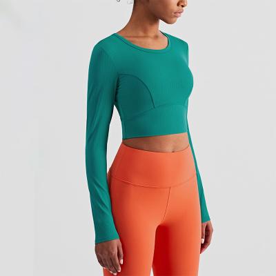 Da aptidão ativa do estiramento de Rib Striped Ladies Yoga Tops parte superior longa da colheita da ioga da luva
