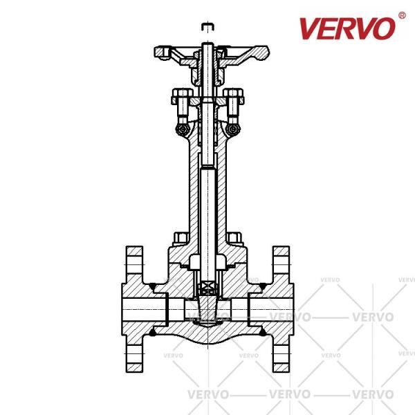 A extensão criogênica forjada da válvula de porta provem 316ss 1 a polegada DN25 2500LB flangeou RTJ
