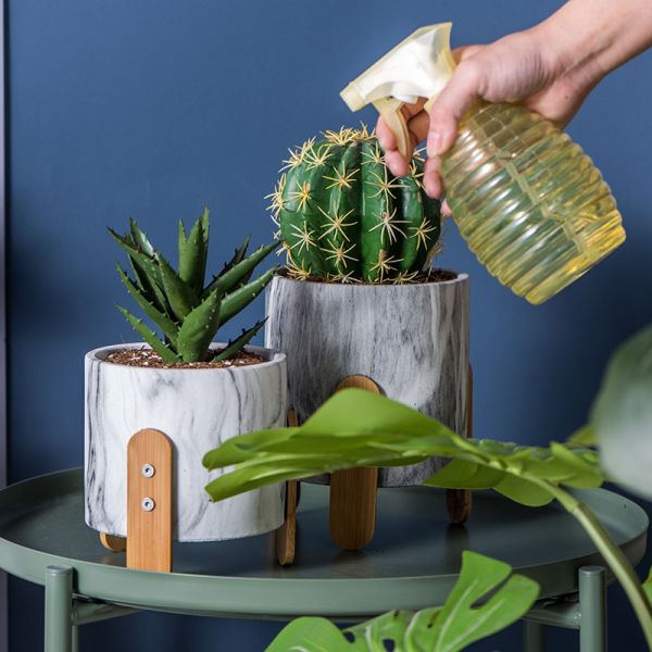 Мини плантаторы столешницы плантаторов бака Succulents цветочные горшки глины цементируют баки завода мраморизуют плантаторов