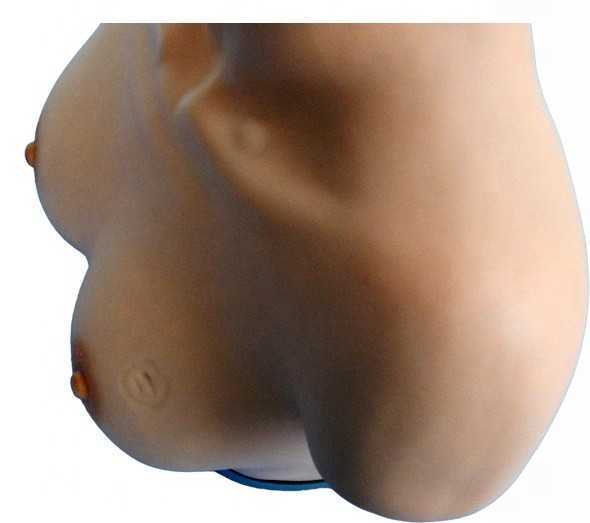 Gynecological Skills Teaching Manikin for Breast Inspection and Palpation Simulator
