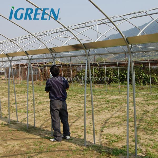 Large IGreen Agricultural Greenhouses Materials Shade Cloth Greenhouse with No Roof Vent
