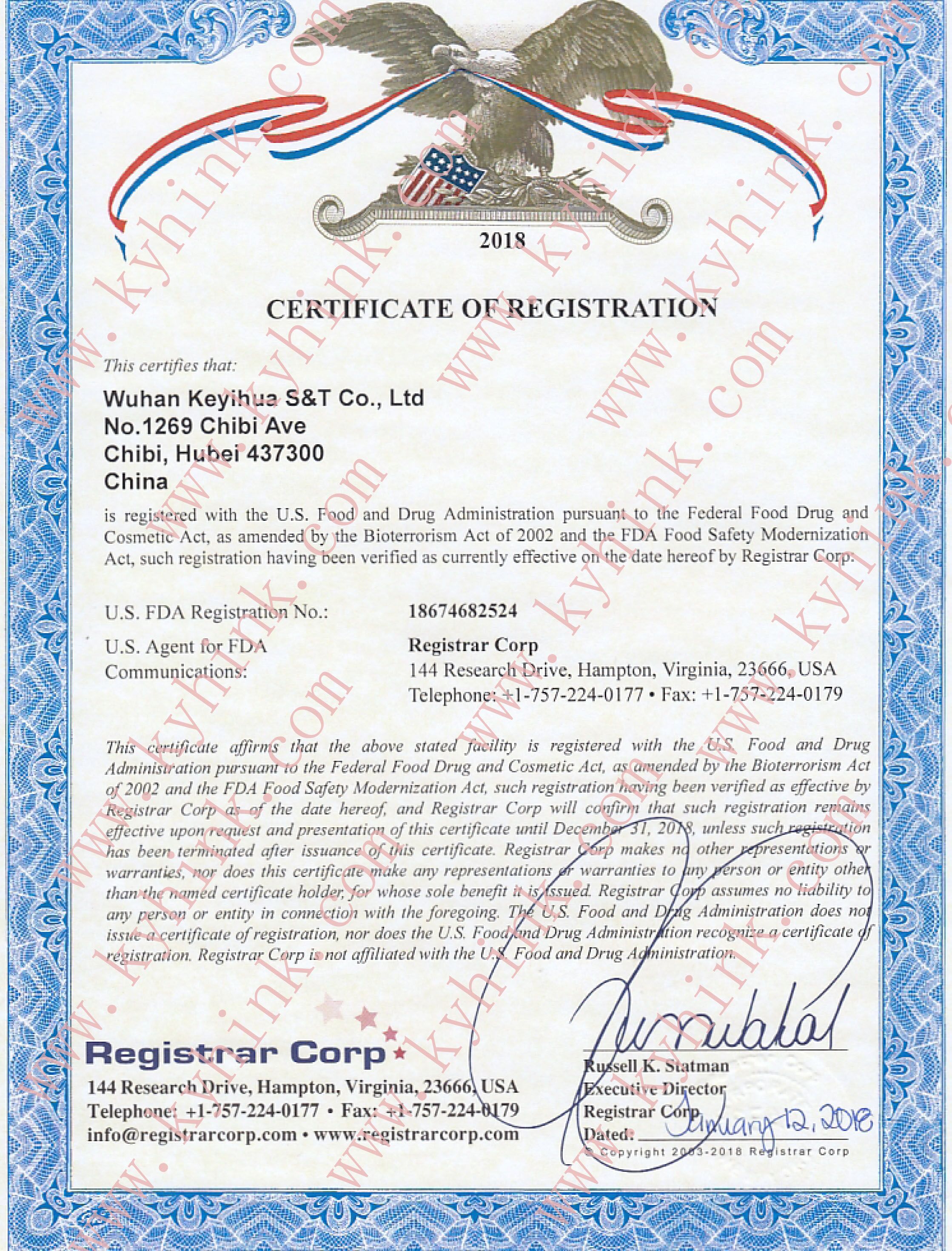 600dpi Solution Кофейная печатная машина пищевой принтер Wi-Fi 802.11b/G/N