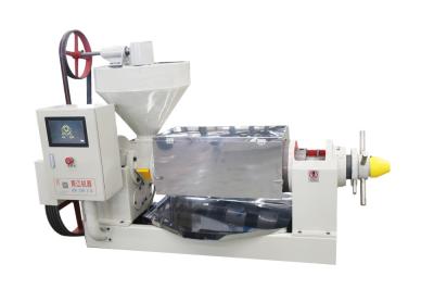 Cold Pressed Coconut Oil Machine Large Oil Press  Automatic Oil Extraction Machine