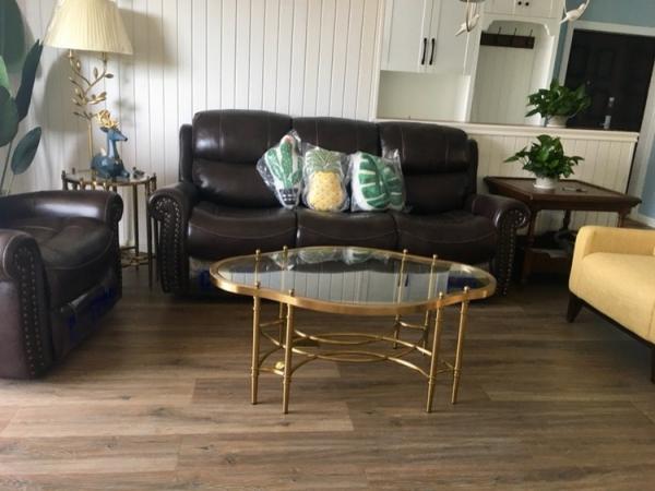 Contemporary Oval Shape Glass Top Stainless Steel Frame Coffee Table Vintage table