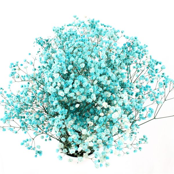 Стиль цвета украшений свадьбы Инс красивый высушенный подгонянный цветками современный