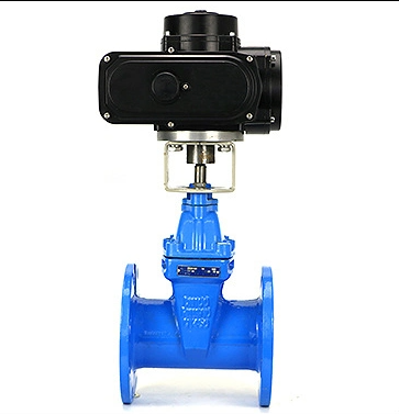 Customized DN80 DN150 DN200 DN400 DN500 Metal Seat Gate Valve with Y Type Strainer