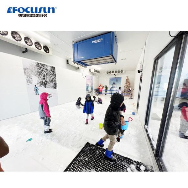 Energy Saving Cooling Air Cooling Focusun Snow Machine with Bitzer Compressor