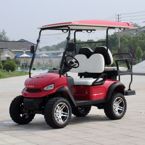 2024 Launched Brand New 4 Wheel Electric Golf Hunting Buggy Cart Back to Back 4 Seater For Sale