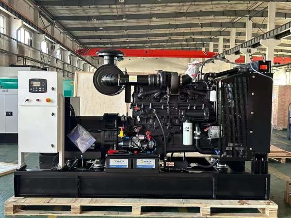 Cummins 6CTA8.3-G1 Motor Diesel Elétrico Gerador Generador silencioso para barbatanas de refrigeração