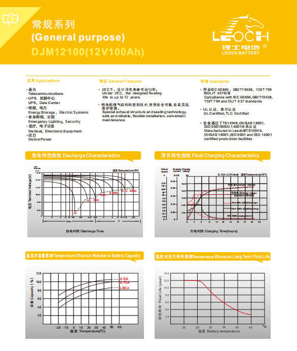 12V 100AH Leoch DJM12100 Maintenance Free Lead Acid Battery for UPS
