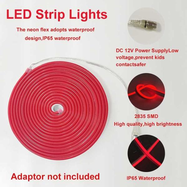 SMD2835 LEDs Waterproof Flexible LED Neon Light 12V Power Supply For Indoors Outdoors