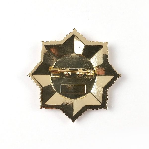 Emblème d' épingle en or émaillée en 3D avec support d' épingle de sécurité de 1,15 pouce Parfait pour les tournois et les occasions spéciales