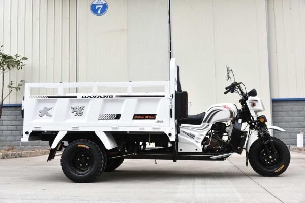 Open Body Type 200cc Air-Cooling Heavy Duty Cargo Motorcycle Tricycle Three Wheeler
