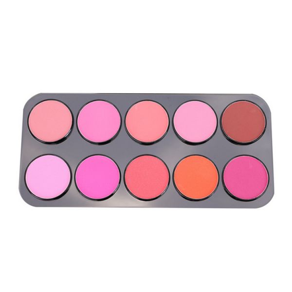 Макияж стороны метки частного назначения краснеет яркий блеск 10 цветов краснеет утверждение макияжа МСДС