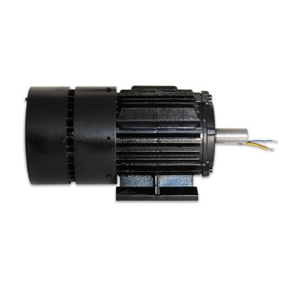 1500 - 3000r/M Rare Earth Permanent Magnet Motor For Industrial
