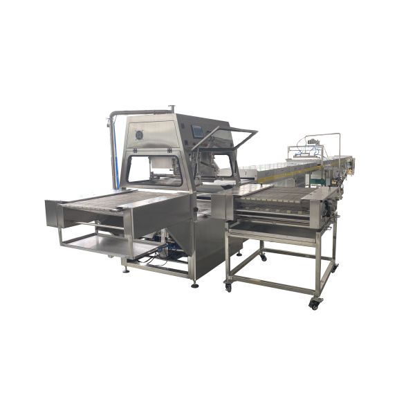 Automatic Feeding 400mm Wide Chocolate Enrobing Machine Double Layer Coating