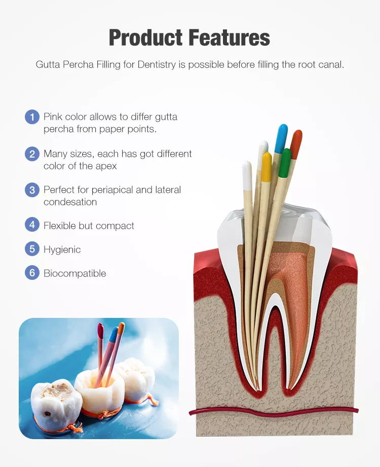 Гуттаперча конусности указывает зубоврачебные заполняя материалы для зубоврачебное ортодонтического