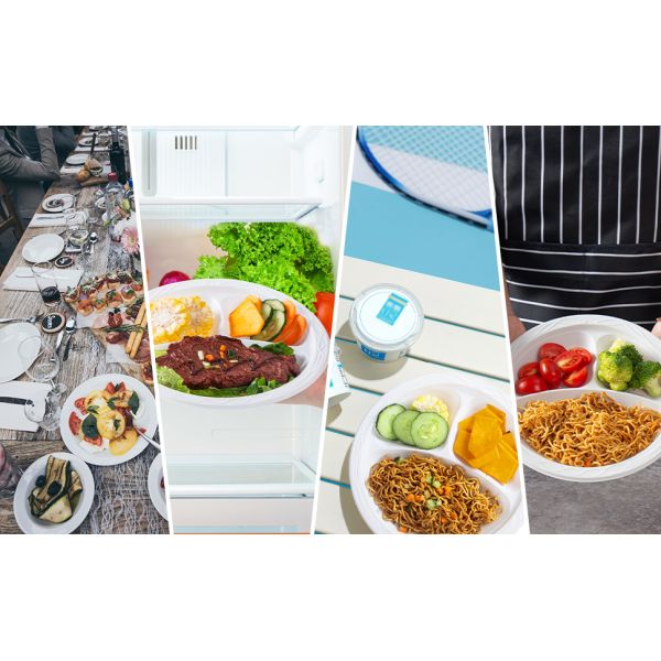 White Plastic Plates, 9 Inch 3 Compartments 150 Pack Food Grade Material BPA Free Reusable Dinner Plates