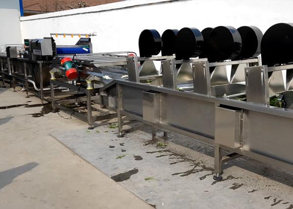 Máquina vegetal do processador do OEM, velocidade de corrida ajustável da máquina mais seca do alimento