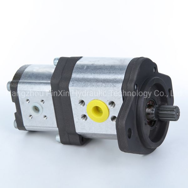 0511525612 Cast Iron Hydraulic Gear Pump for Advanced and Durable Hydraulic Piston Pump
