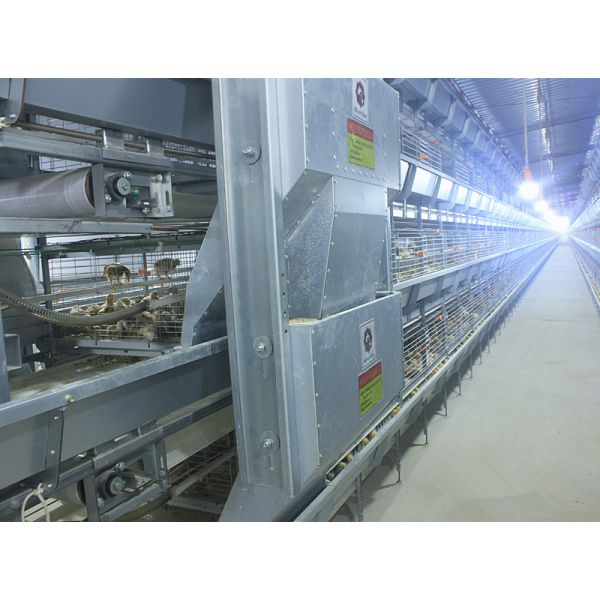 горячая гальванизированная птица провода 275g/M2 разводя клетки, 2.5mm обогащенные клетки для кладя куриц