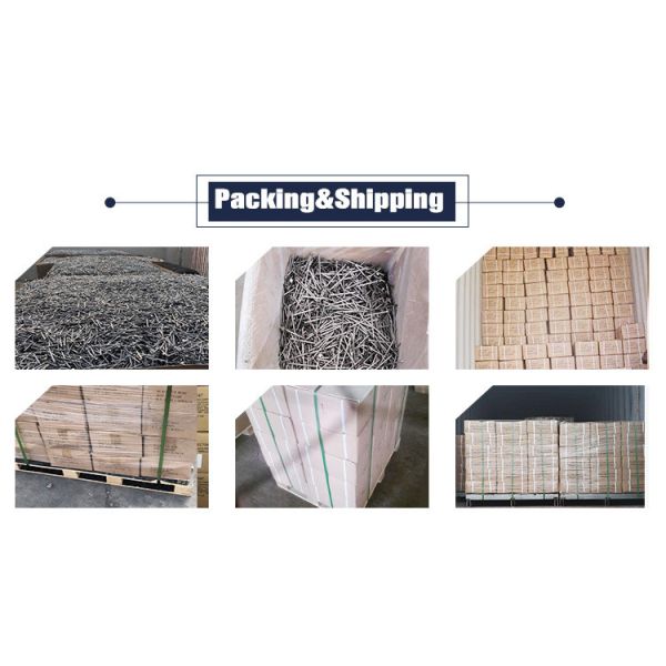 Polished Steel Nail Raw Material Wire Common Iron Nails Smooth Shank