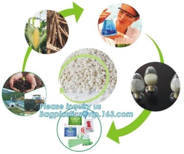 Compostable Large GALLON Zip Bag, Resealable Extra Strength Biodegradable Bags, Made From Plant Materials