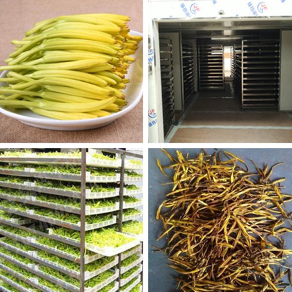 Bamboo Shoots Mushroom Okra Carrrot Hot Air Dryer Vegetable Drying Machine