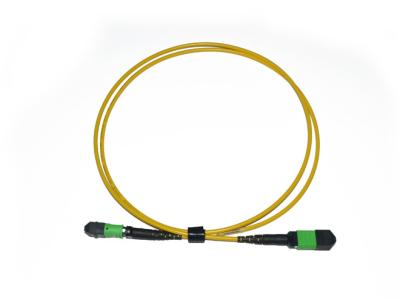 9/125 de cabo Singlemode do remendo da fibra de OS2 MTP/MPO - fibra 12