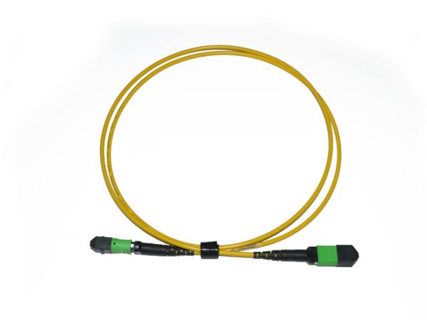 9/125 de cabo Singlemode do remendo da fibra de OS2 MTP/MPO - fibra 12